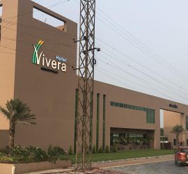 Vicera